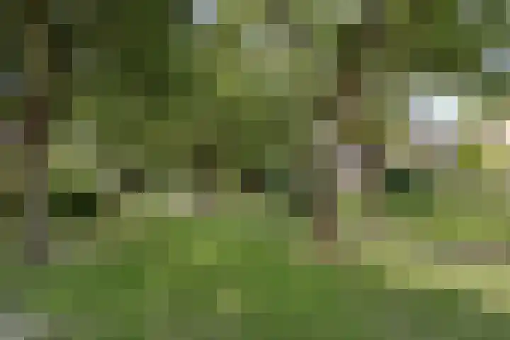 Ammonieterf 2 Heerlen thumbnail 25
