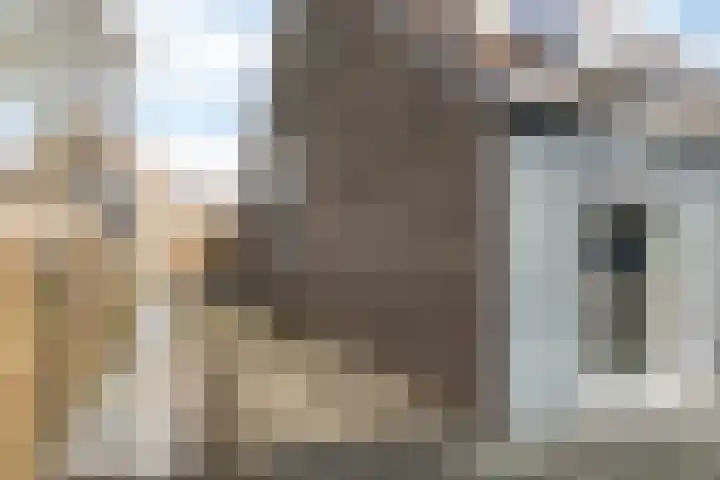 Ammonieterf 202 Heerlen thumbnail 39