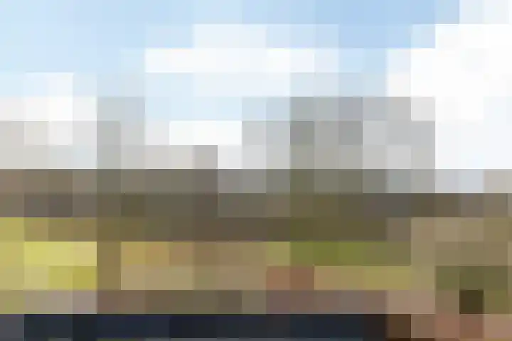 Ammonieterf 202 Heerlen thumbnail 47