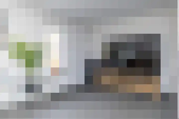 Ammonieterf 202 Heerlen thumbnail 7