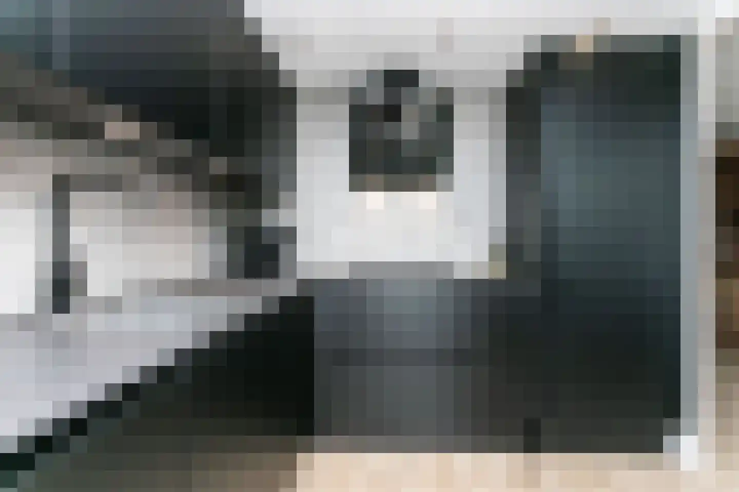 Ammonieterf 236 Heerlen thumbnail 12