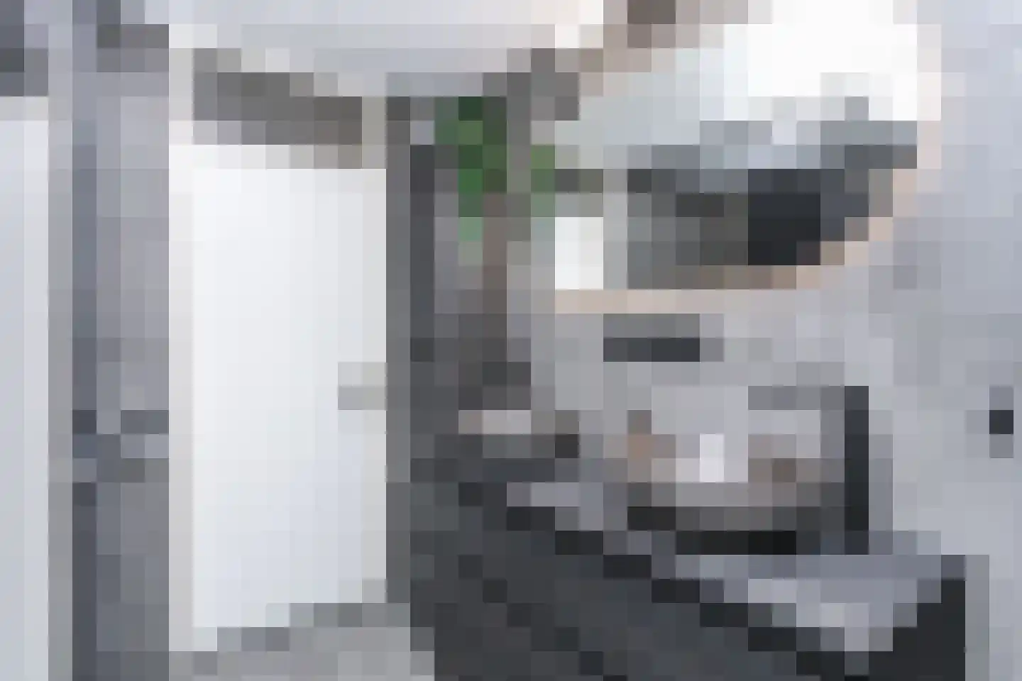Ammonieterf 236 Heerlen thumbnail 23