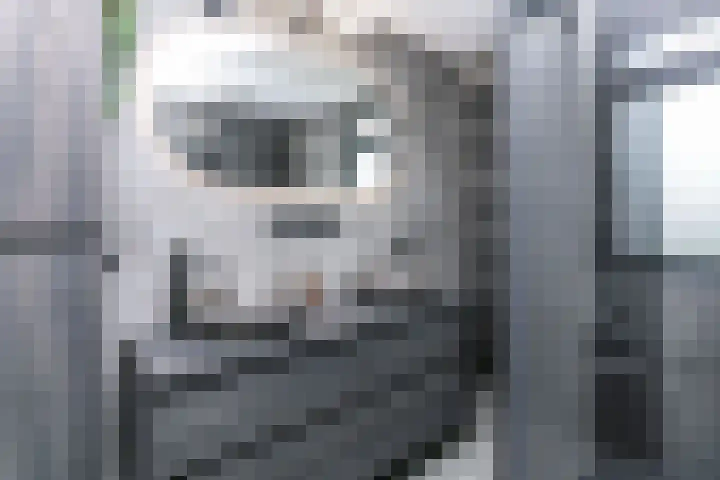 Ammonieterf 236 Heerlen thumbnail 25
