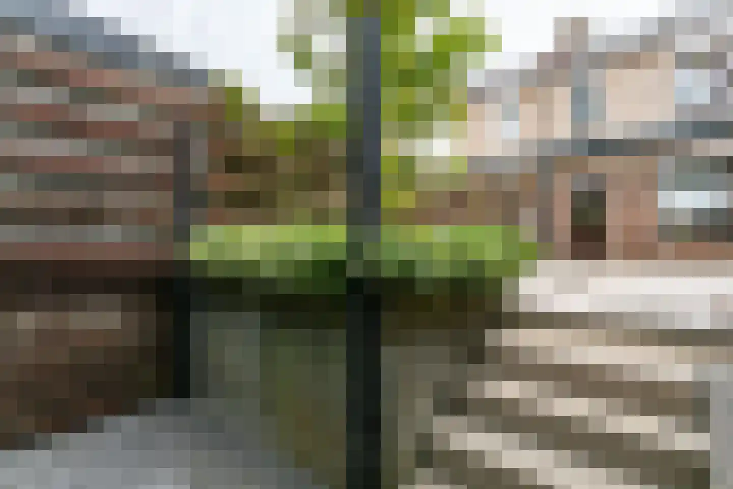 Ammonieterf 236 Heerlen thumbnail 34
