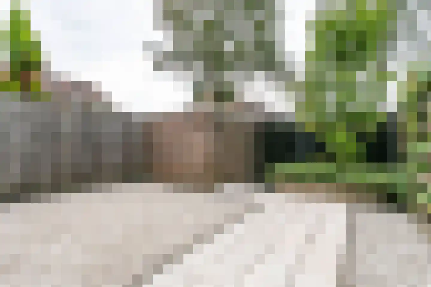Ammonieterf 236 Heerlen thumbnail 36