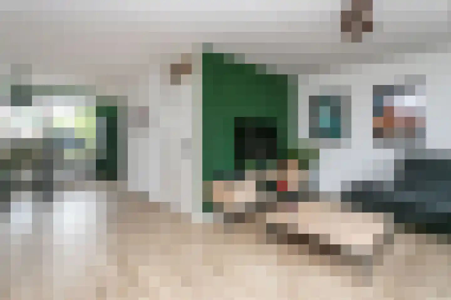 Ammonieterf 236 Heerlen thumbnail 5