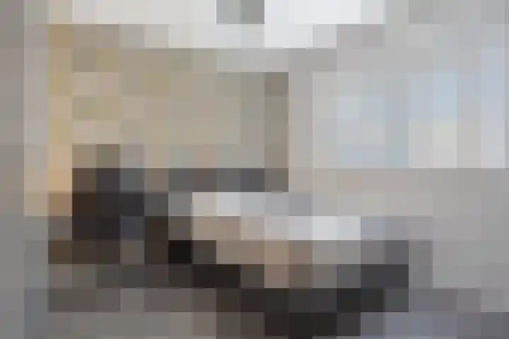 Ammonietstraat 3 Weiteveen thumbnail 37