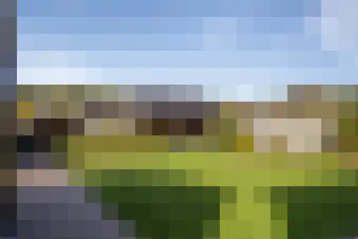 Ammonietstraat 3 Weiteveen thumbnail 4