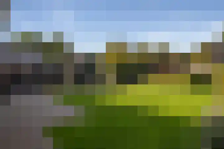 Ammonietstraat 3 Weiteveen thumbnail 54