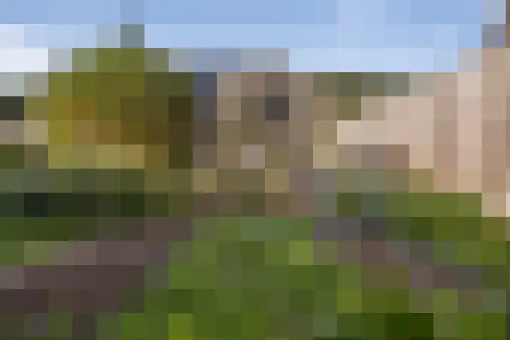 Ammonietstraat 3 Weiteveen thumbnail 61