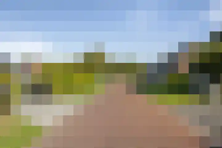 Ammonietstraat 3 Weiteveen thumbnail 63