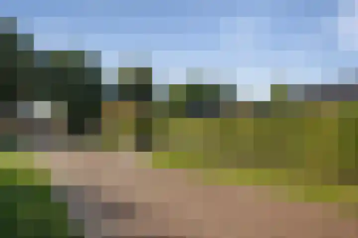 Ammonietstraat 3 Weiteveen thumbnail 64