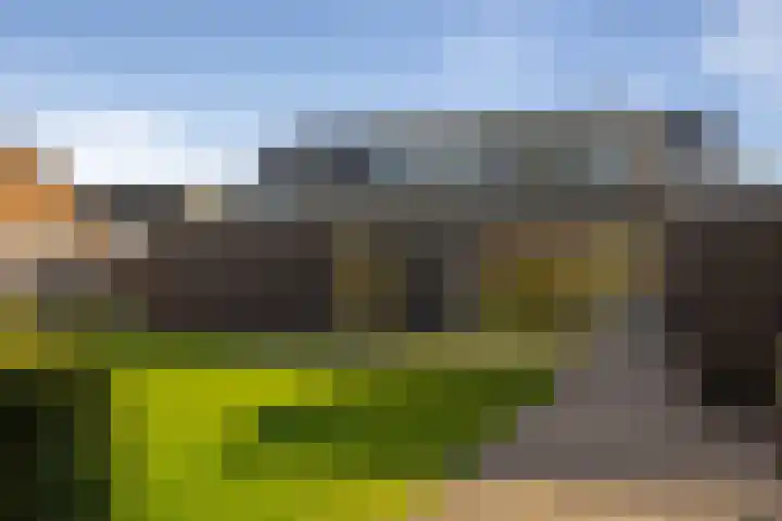 Ammonietstraat 3 Weiteveen thumbnail 9