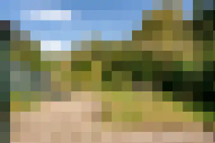 Ammonslaantje 17 Wassenaar thumbnail 26