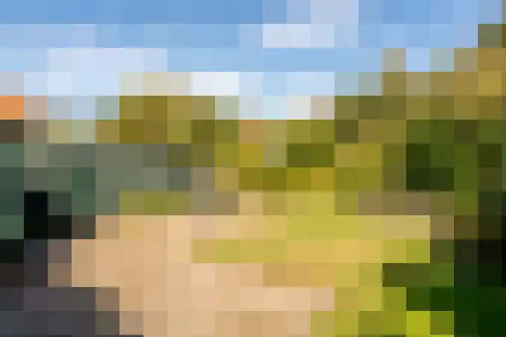 Ammonslaantje 17 Wassenaar thumbnail 27
