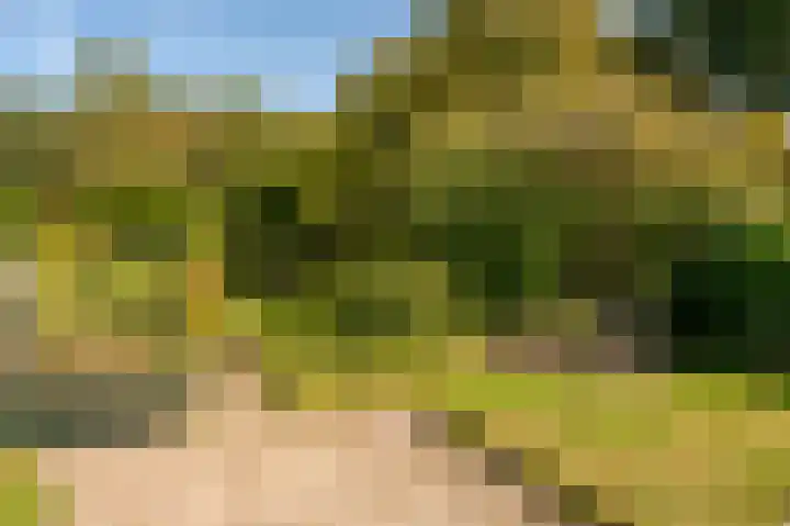 Ammonslaantje 17 Wassenaar thumbnail 28