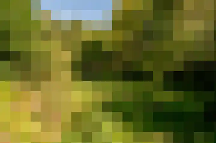 Ammonslaantje 17 Wassenaar thumbnail 29