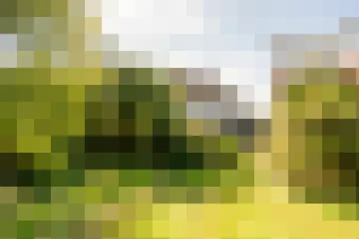 Ammonslaantje 17 Wassenaar thumbnail 31