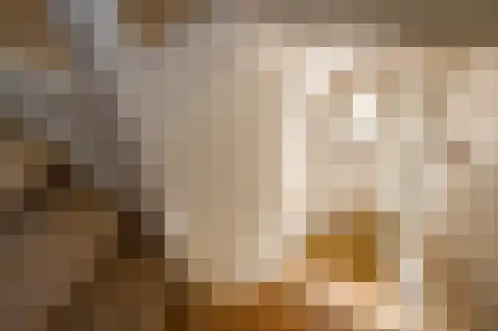 Ammonslaantje 17 Wassenaar thumbnail 32
