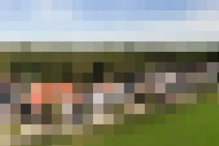 Ammonslaantje 17 Wassenaar thumbnail 45