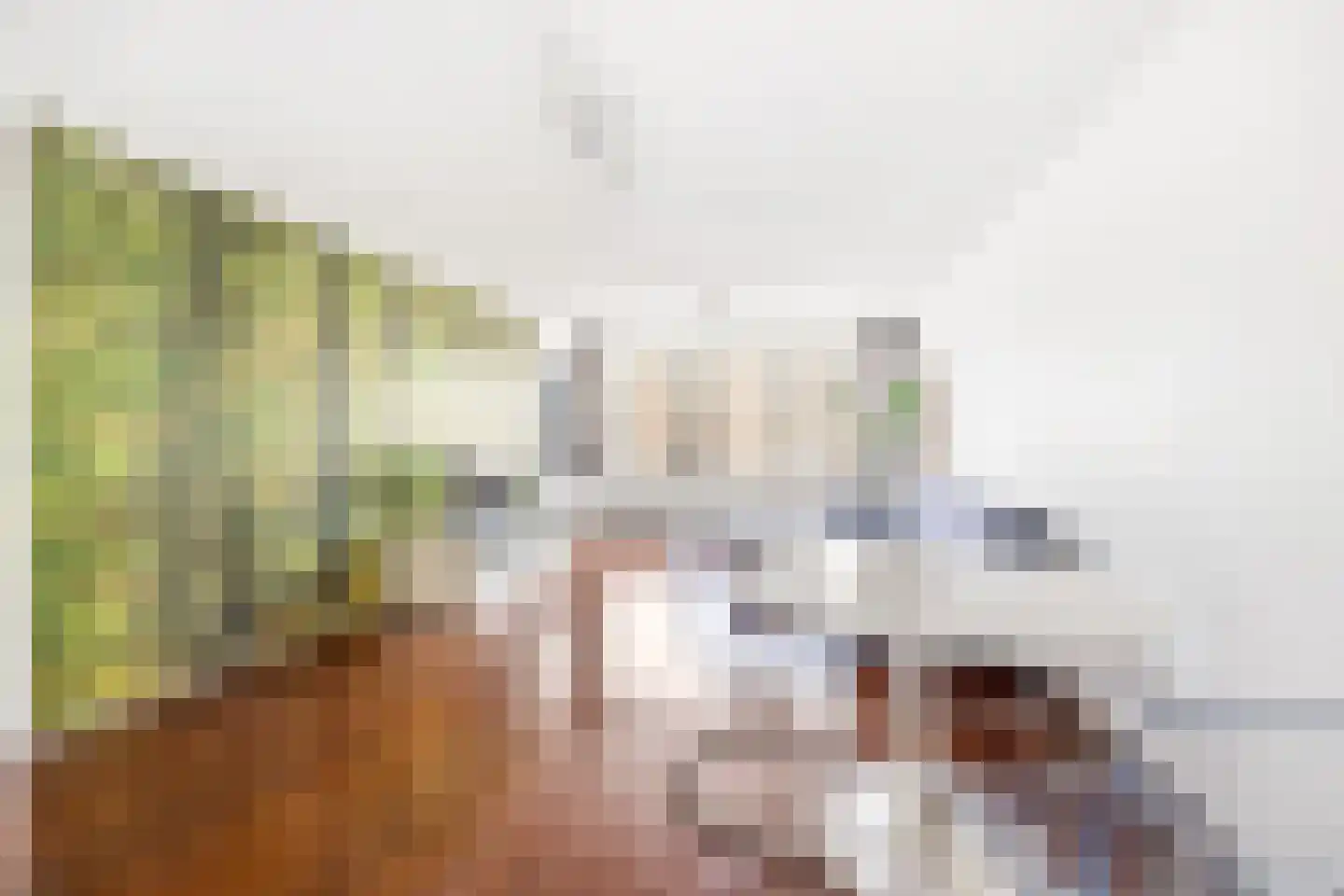 Ammunitiehaven 107 Den Haag thumbnail 10