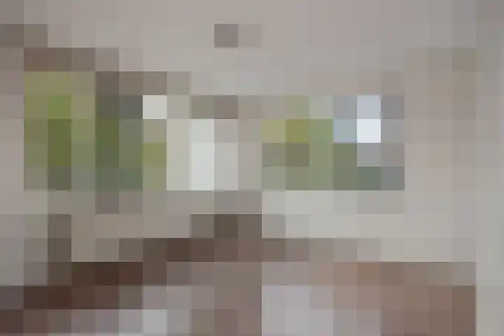 Ammunitiehaven 51 Den Haag thumbnail 15