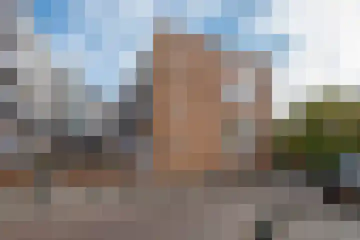 Ammunitiehaven 51 Den Haag thumbnail 32