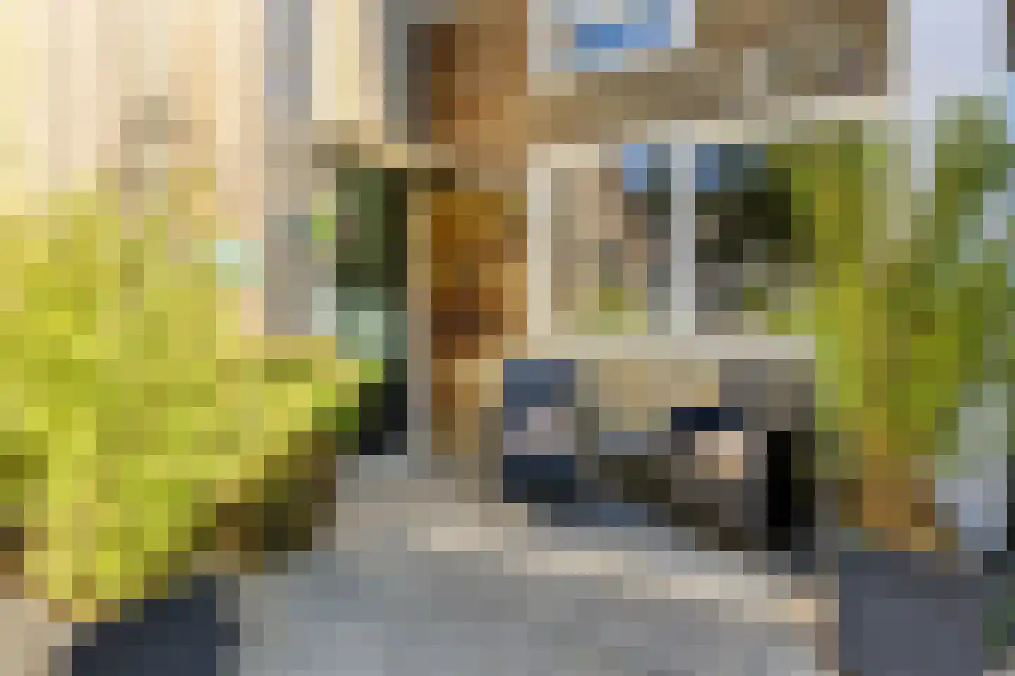 Amnesty Internationalweg 29 Haarlem thumbnail 37