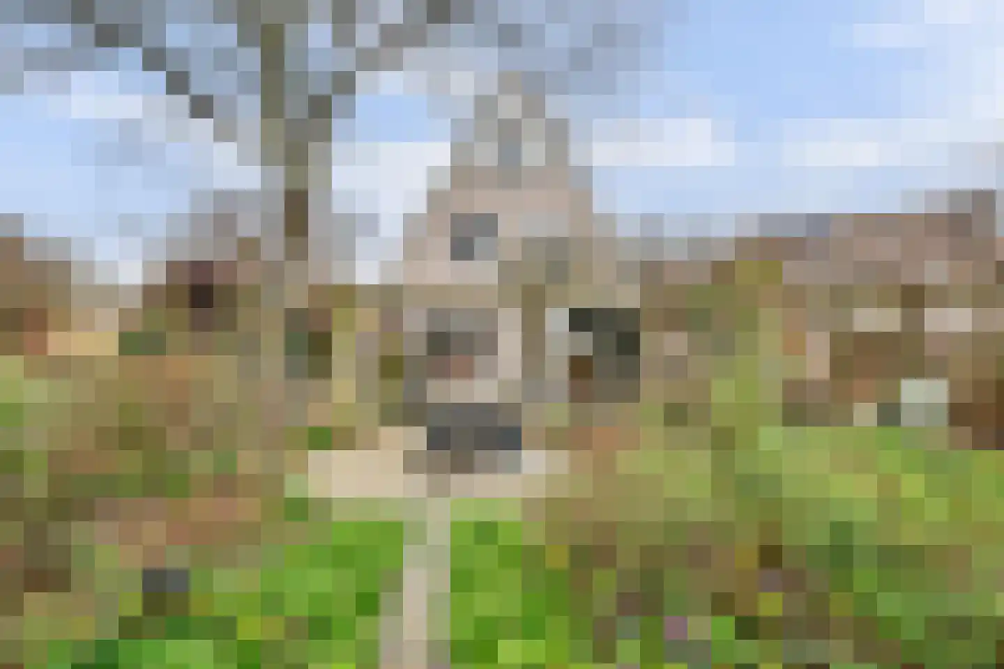 Amnestylaan 137 Middelburg thumbnail 36