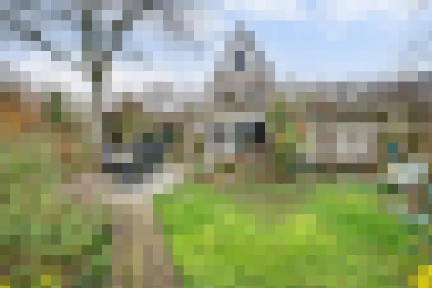 Amnestylaan 137 Middelburg thumbnail 37