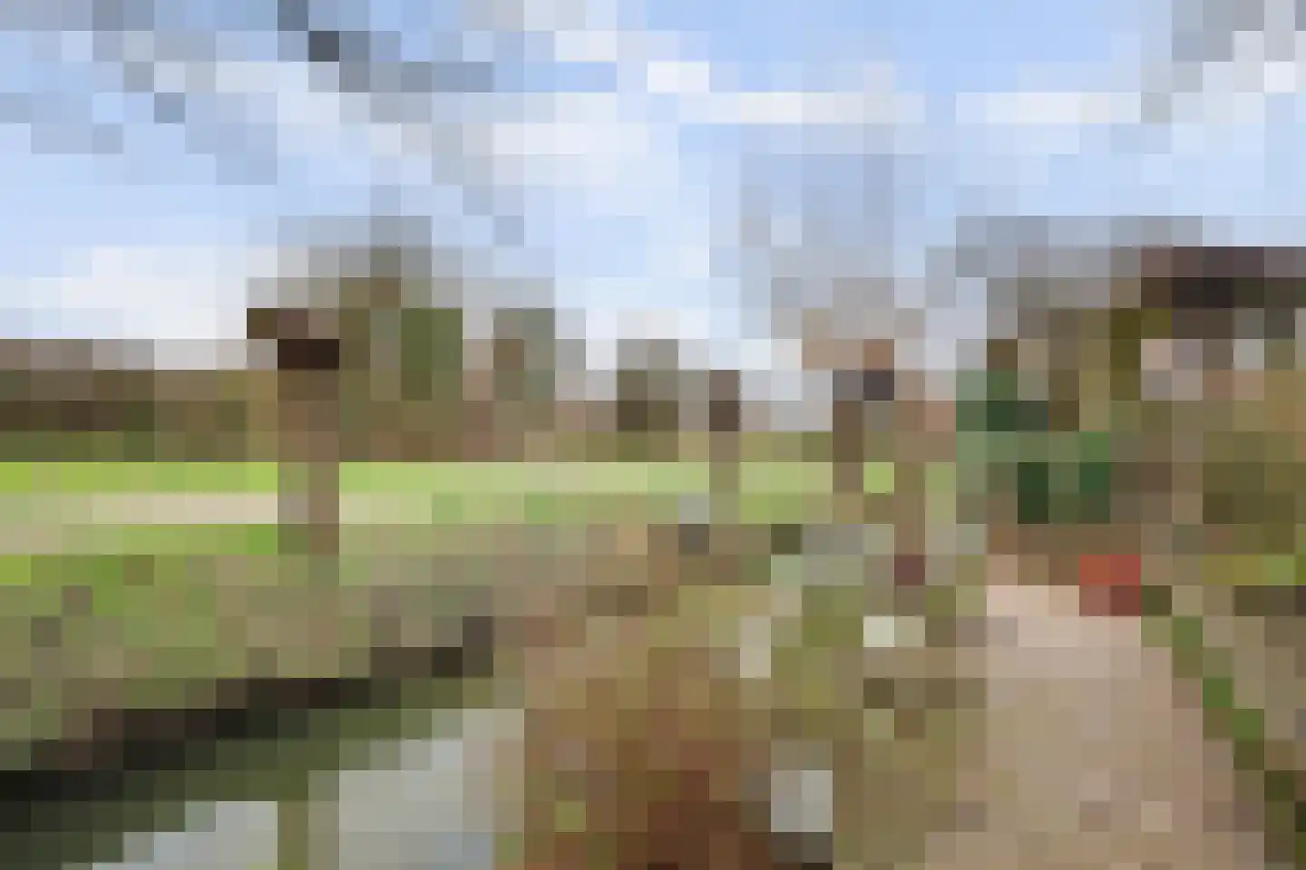 Amnestylaan 137 Middelburg thumbnail 39