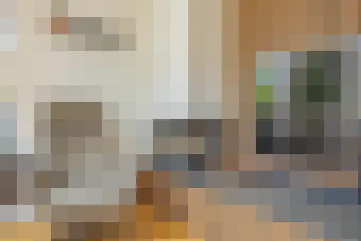 Amnestylaan 148 Middelburg thumbnail 12