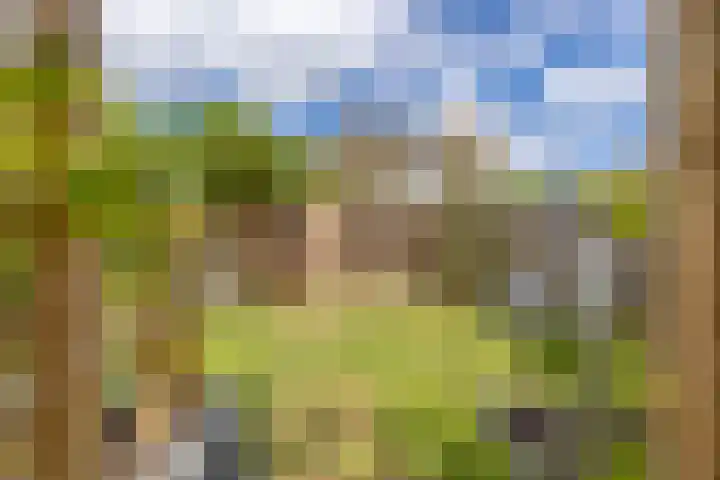 Amnestylaan 148 Middelburg thumbnail 21