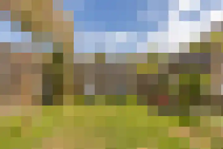 Amnestylaan 148 Middelburg thumbnail 22