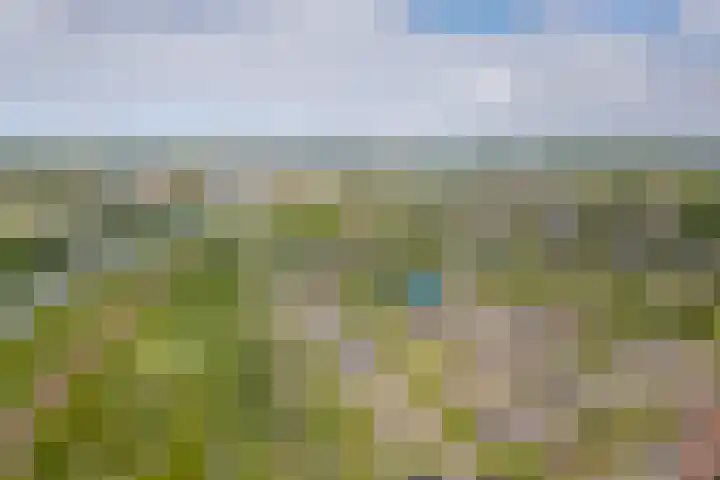 Amnestylaan 148 Middelburg thumbnail 4