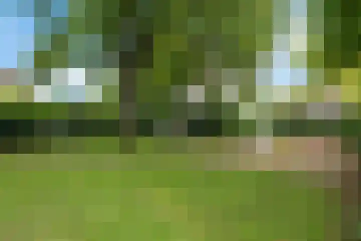 Amnestylaan 39 Soest thumbnail 19
