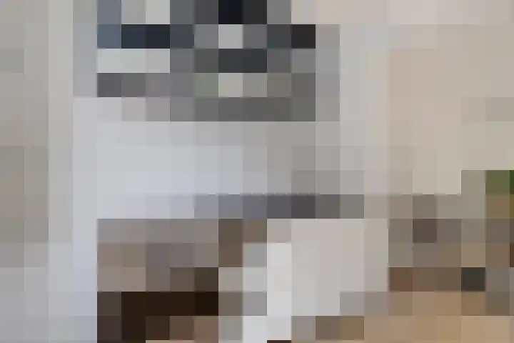 Amnestylaan 39 Soest thumbnail 6