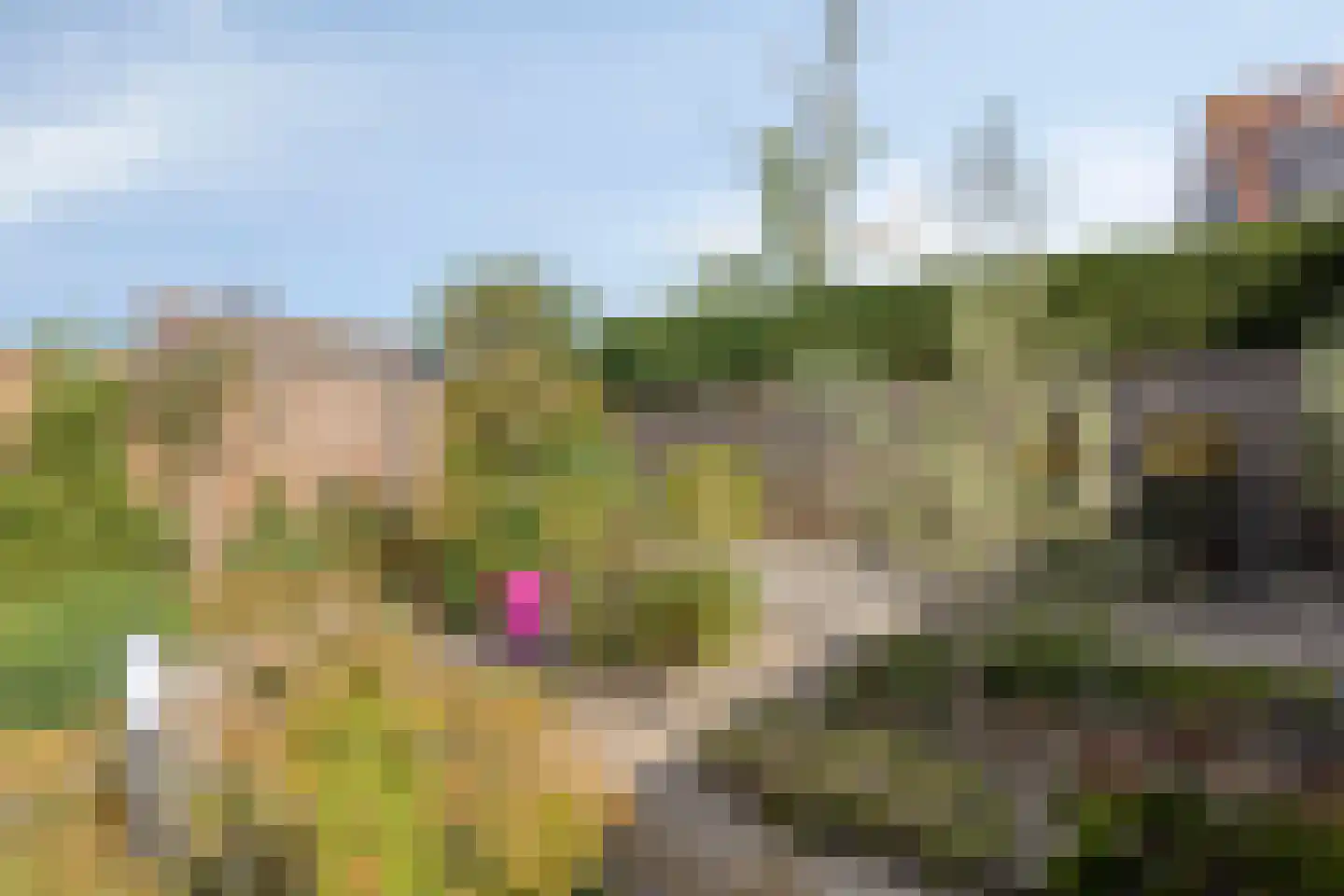 Amnestylaan 4 Middelburg thumbnail 28