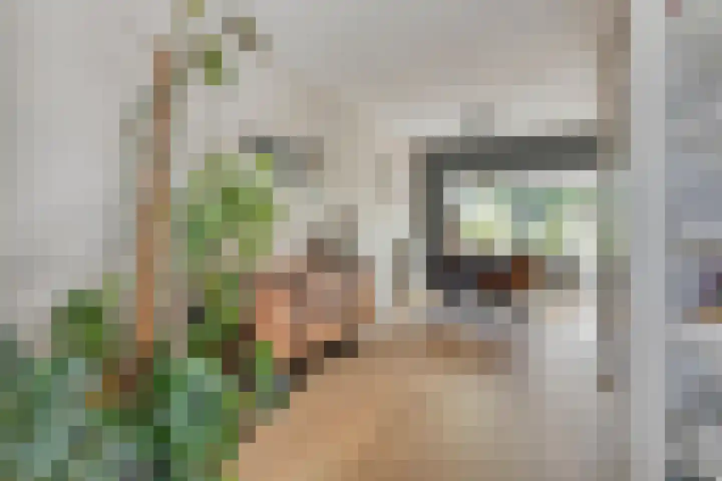 Amnestylaan 4 Middelburg thumbnail 9