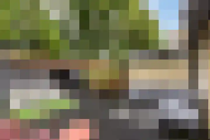 Amnestylaan 46 Soest thumbnail 26