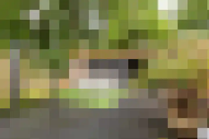 Amnestylaan 46 Soest thumbnail 27