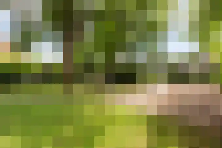 Amnestylaan 46 Soest thumbnail 34