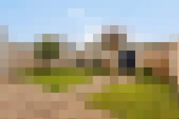 Amnestylaan 51 Middelburg thumbnail 33