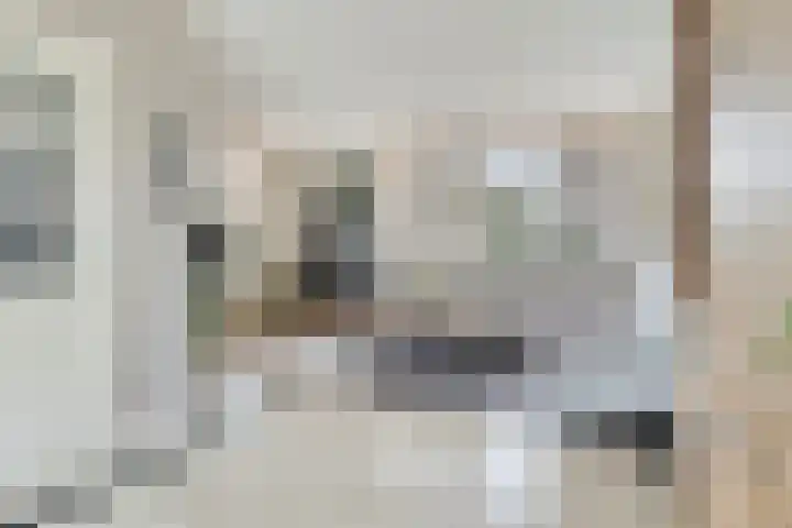 Amnestylaan 51 Middelburg thumbnail 4