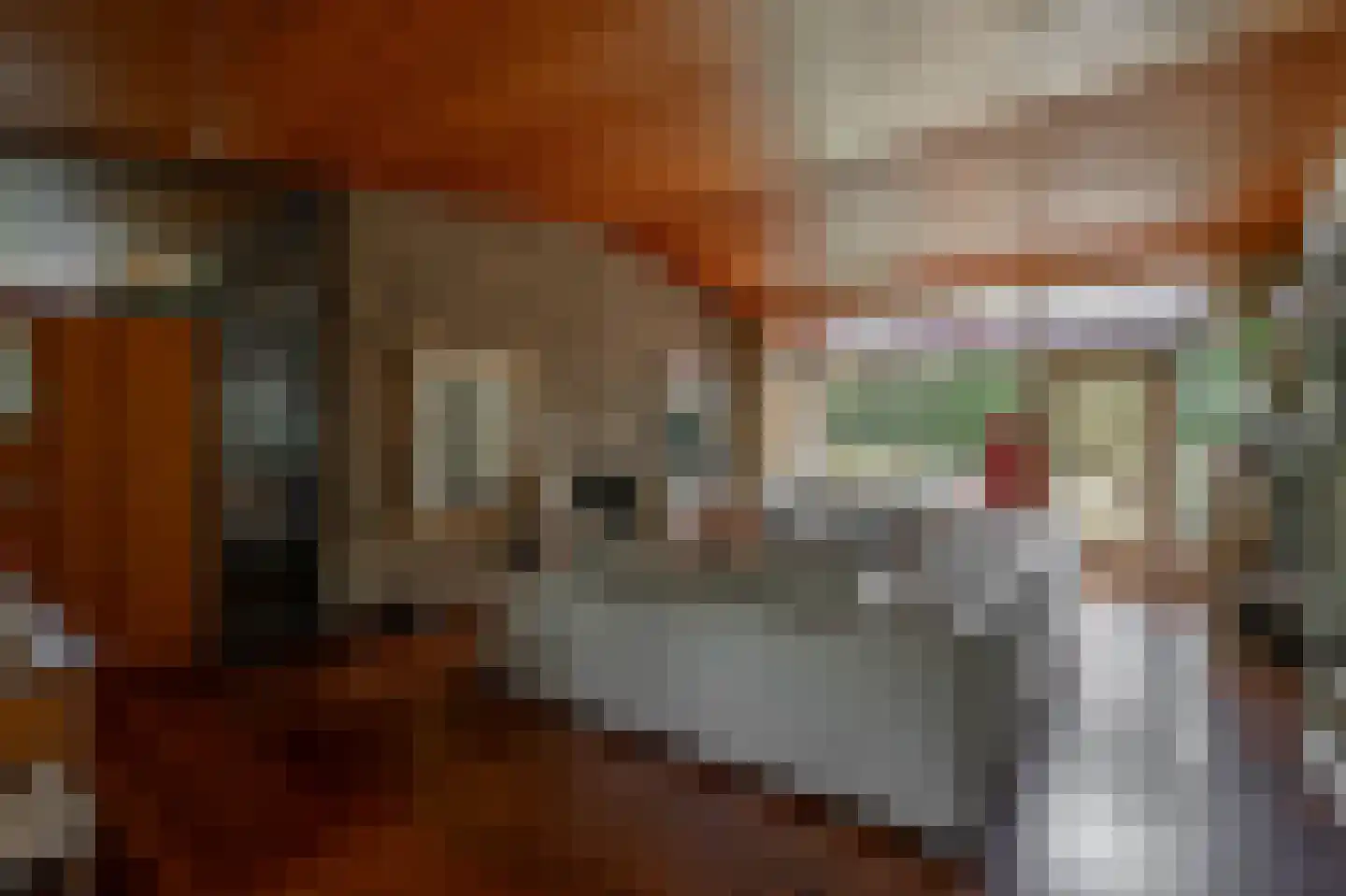 Amorijstraat 3 Arnhem thumbnail 13