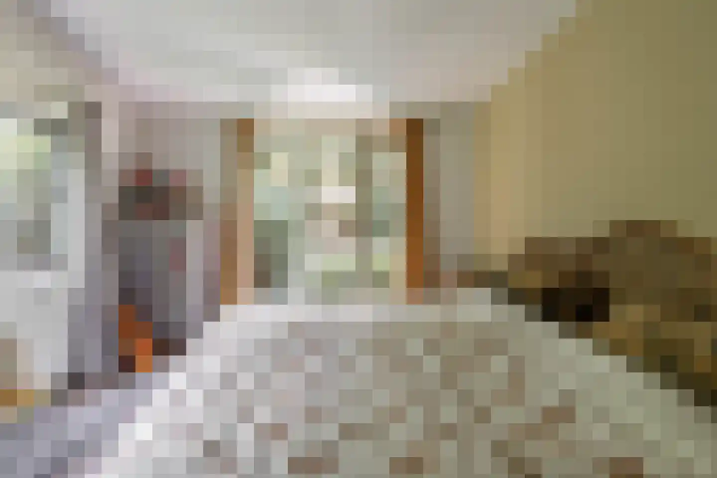 Amorijstraat 3 Arnhem thumbnail 21