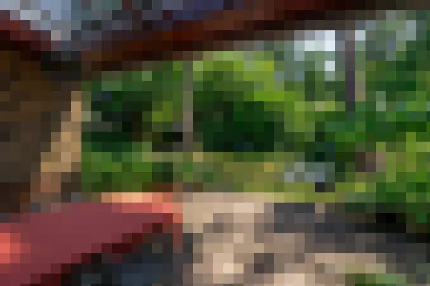 Amorijstraat 3 Arnhem thumbnail 27