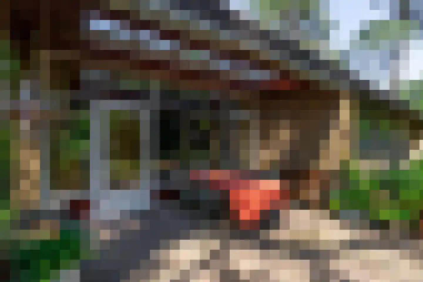 Amorijstraat 3 Arnhem thumbnail 28