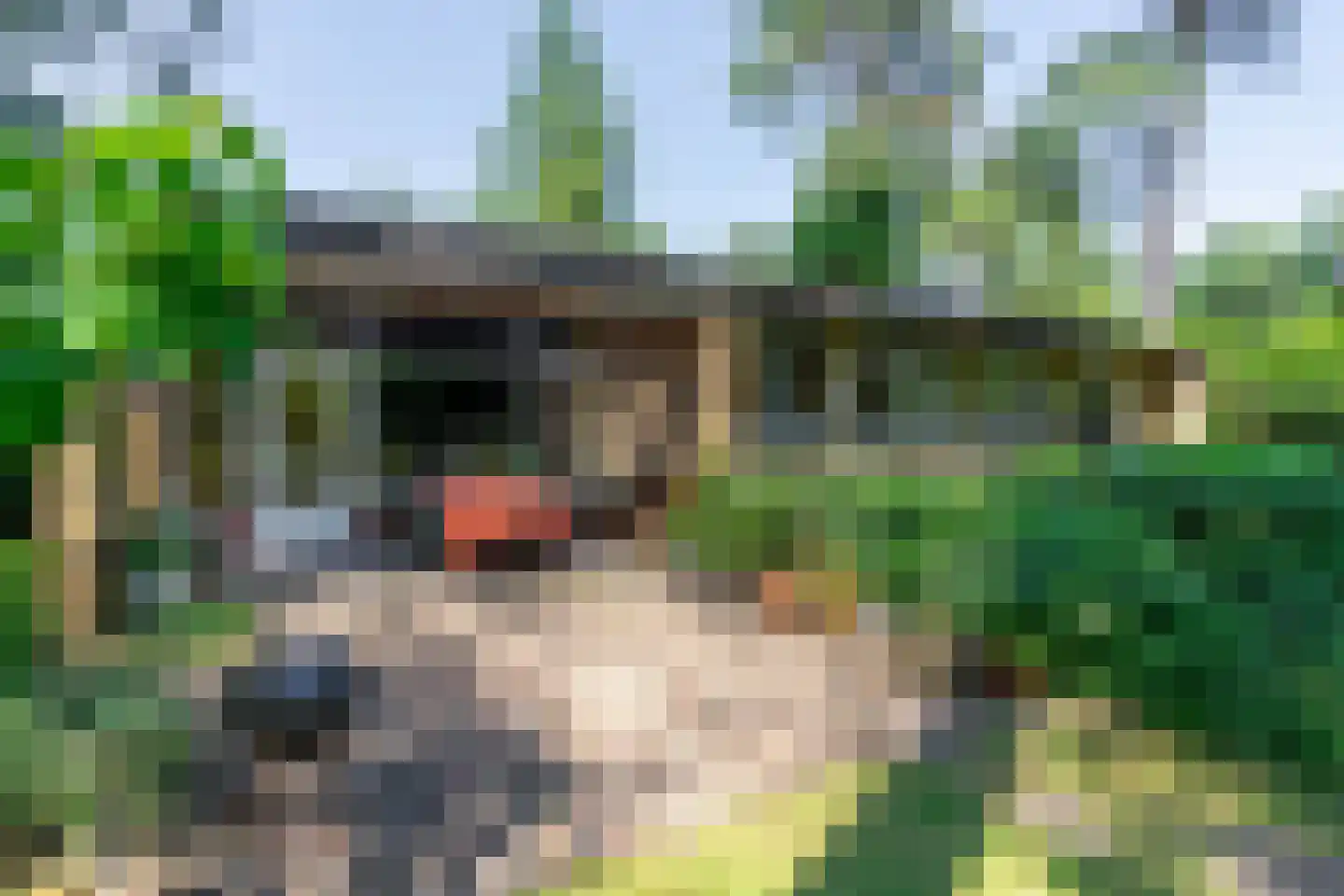 Amorijstraat 3 Arnhem thumbnail 29