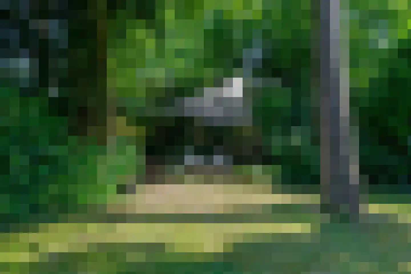 Amorijstraat 3 Arnhem thumbnail 33